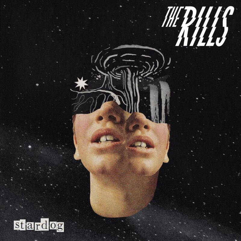 The Rills –&nbsp;Stardog