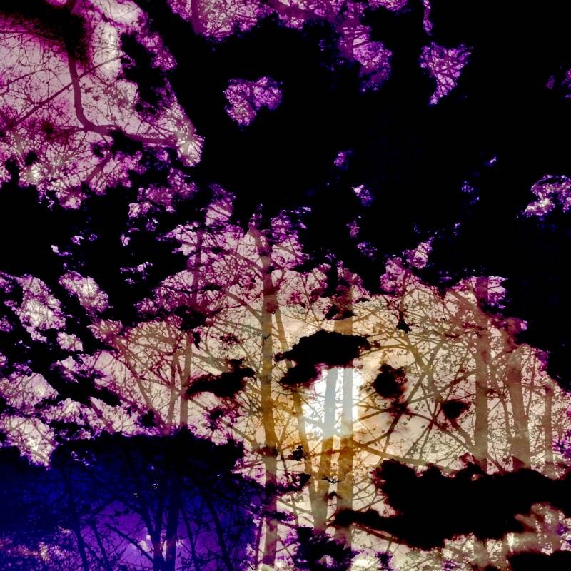 Don Morrison – Partner in&nbsp;Crime