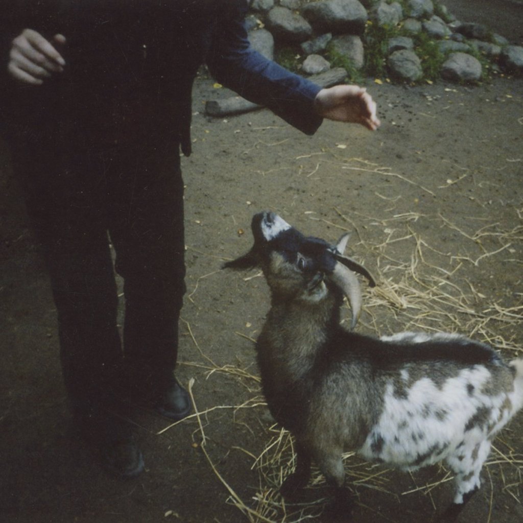 I Divorced Life- ‘Petting&nbsp;Zoo’