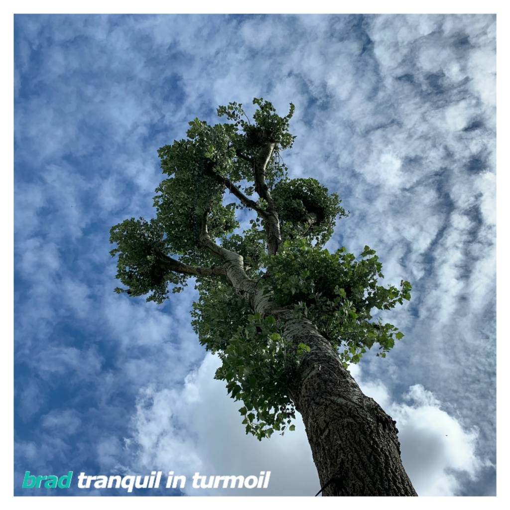 brad – Tranquil in Turmoil&nbsp;EP