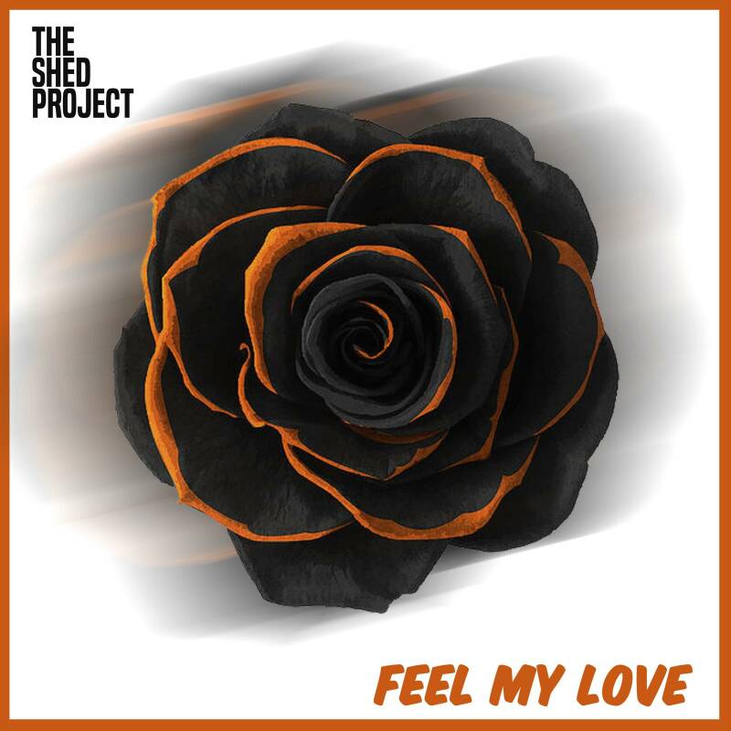 The Shed Project – Feel My&nbsp;Love