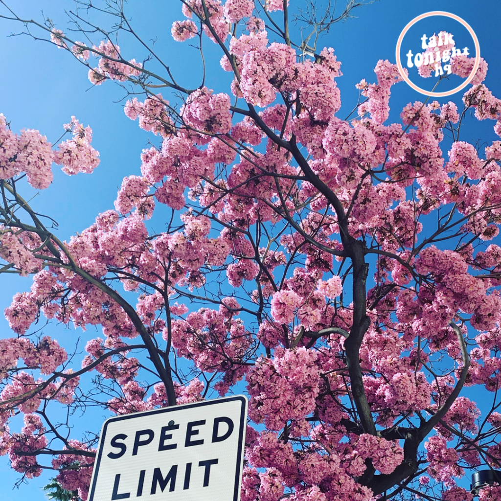 Rivita releases thought provoking new single ‘Speed&nbsp;Limit’