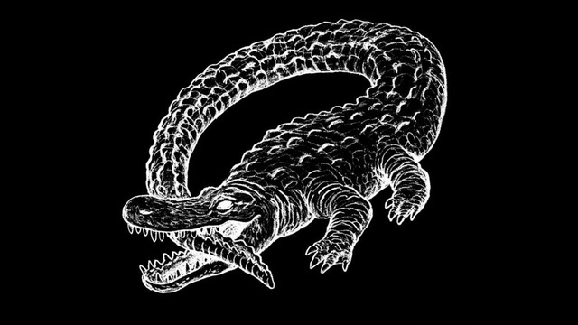 Catfish and the Bottlemen Are Over… Or Are&nbsp;They?