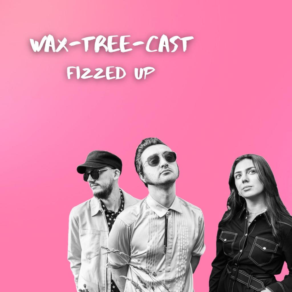 ‘It’s All About Originality’: Meet Indie Trio&nbsp;Wax-Tree-Cast!