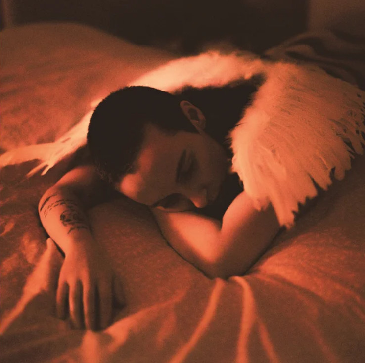 Absolutely Extraordinary: Sea Girls – ‘Midnight Butterflies’ Review