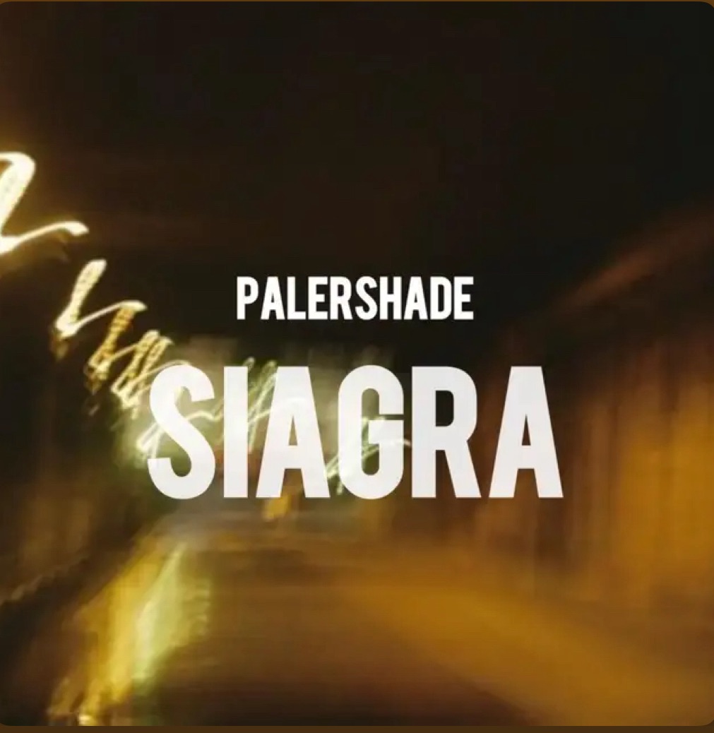 All That A Speeding Indie Anthem Ought To Be: Palershade – ‘Siagra’&nbsp;Review