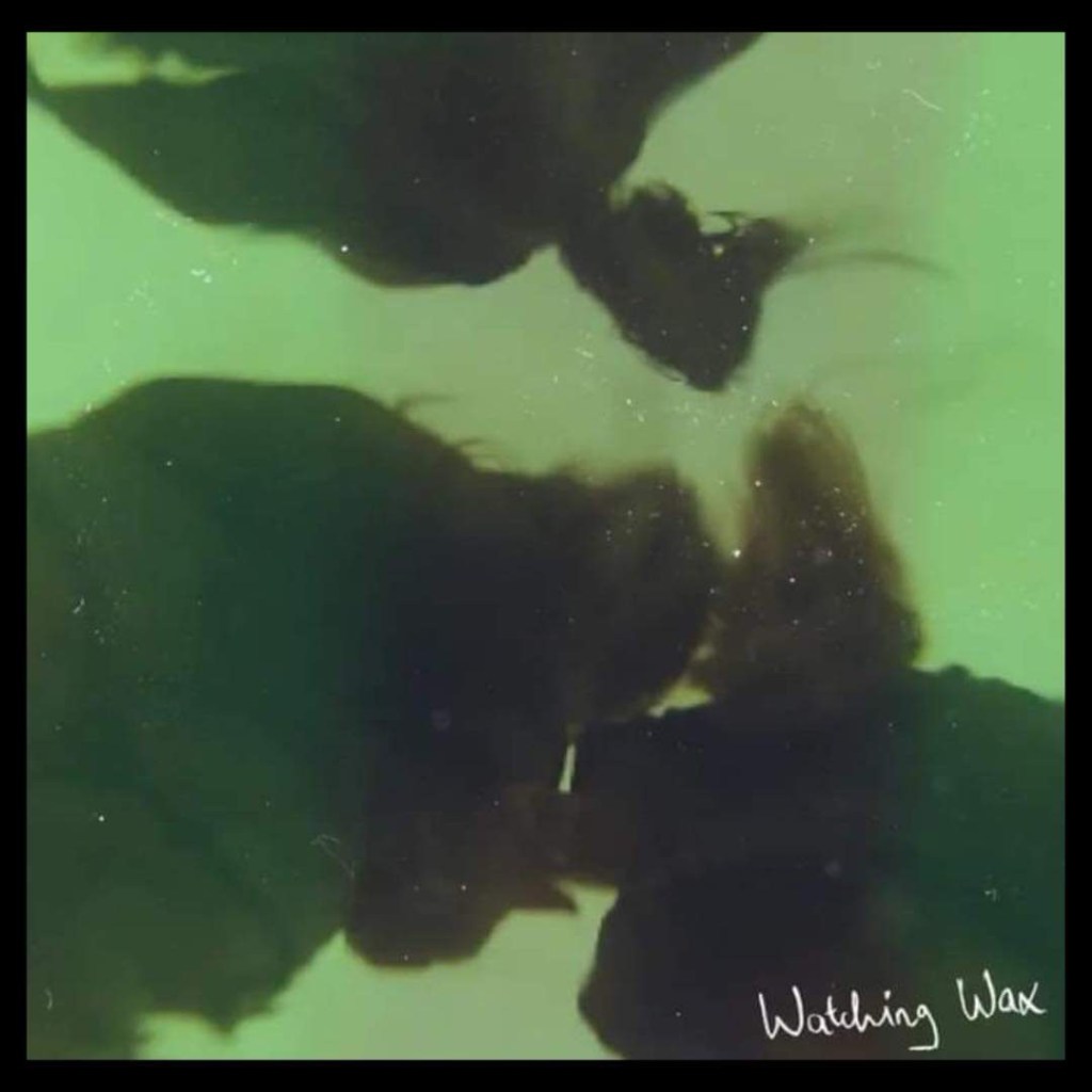 A Testament To Their Musical Prowess: BERRIES – ‘Watching Wax’&nbsp;Review