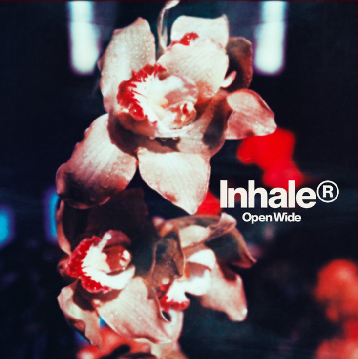 Third Time’s The Charm: Inhaler – ‘Open Wide’&nbsp;Review